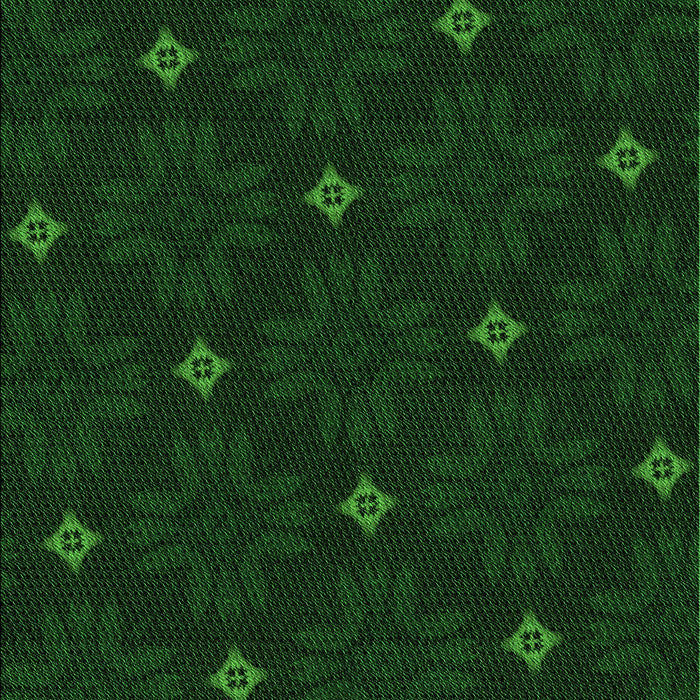 Machine Washable Transitional Green Rug, wshpat3614grn