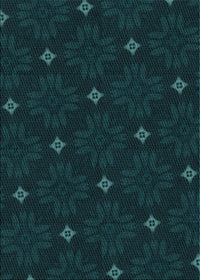 Machine Washable Transitional Deep Teal Green Rug, wshpat3614lblu