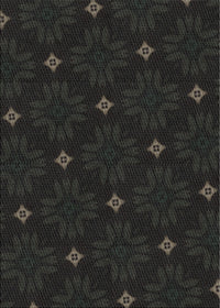 Machine Washable Transitional Black Rug, wshpat3614