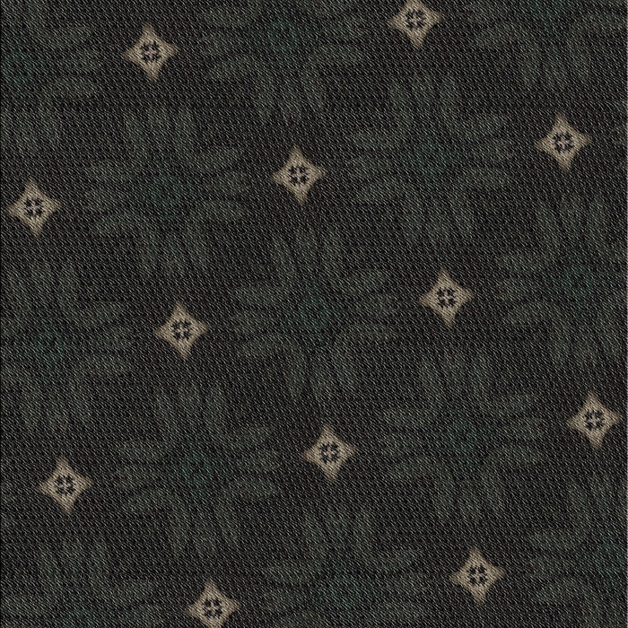 Patterned Black Novelty Rug, pat3614