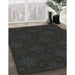 Patterned Black Novelty Rug in Family Room, pat3615