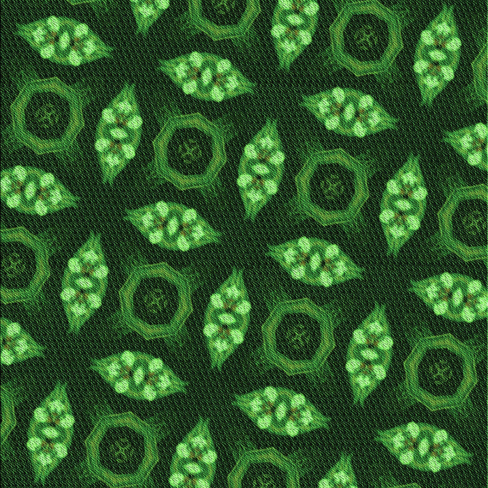 Patterned Dark Forest Green Rug, pat3616grn