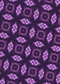 Machine Washable Transitional Dark Orchid Purple Rug, wshpat3616pur