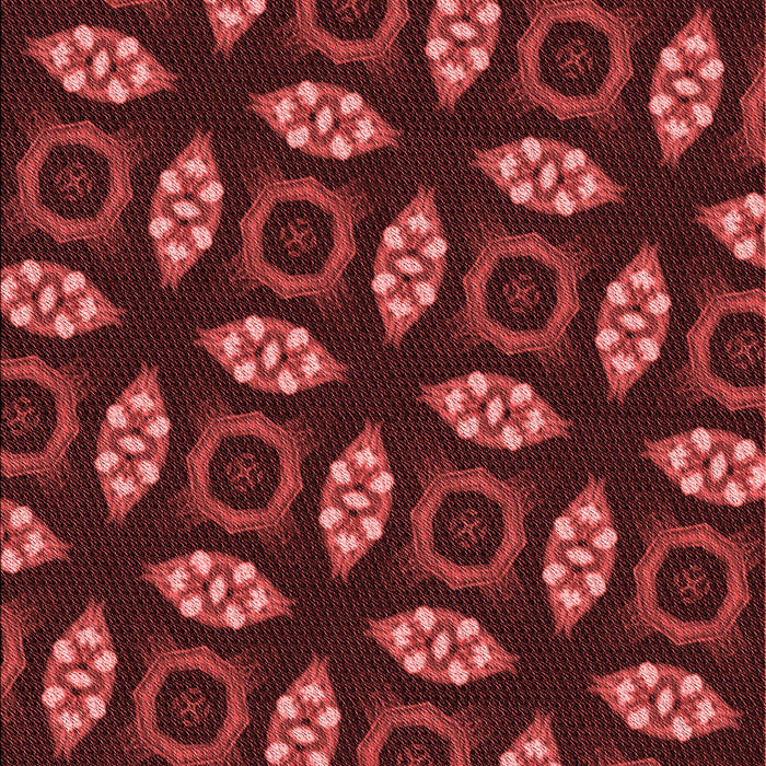 Machine Washable Transitional Red Rug, wshpat3616rd