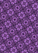 Machine Washable Transitional Purple Rug, wshpat3617pur