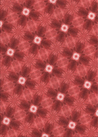 Machine Washable Transitional Red Rug, wshpat3623rd