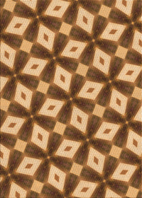 Machine Washable Transitional Saddle Brown Rug, wshpat3624org