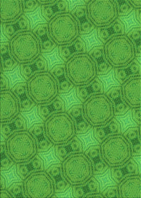 Machine Washable Transitional Green Rug, wshpat3626grn