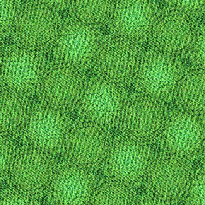 Machine Washable Transitional Green Rug, wshpat3626grn