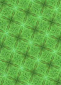 Machine Washable Transitional Neon Green Rug, wshpat3627grn