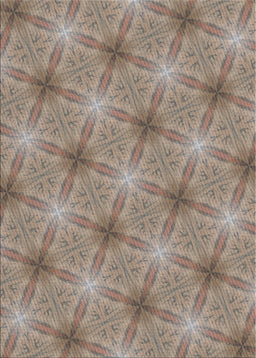 Machine Washable Transitional Brown Rug, wshpat3627