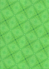 Machine Washable Transitional Neon Green Rug, wshpat3629grn