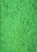 Patterned Neon Green Rug, pat3630grn