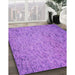 Machine Washable Transitional Purple Rug in a Family Room, wshpat3630pur