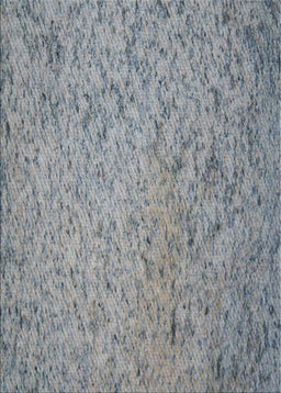 Patterned Silver Gray Novelty Rug, pat3630