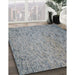 Patterned Silver Gray Novelty Rug in Family Room, pat3630