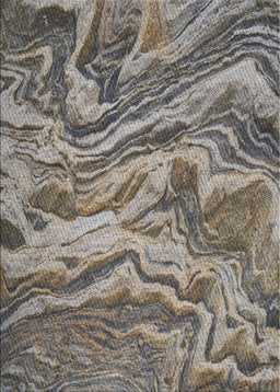 Patterned Charcoal Gray Novelty Rug, pat3631