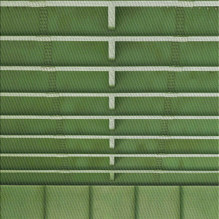 Patterned Shamrock Green Novelty Rug, pat3632