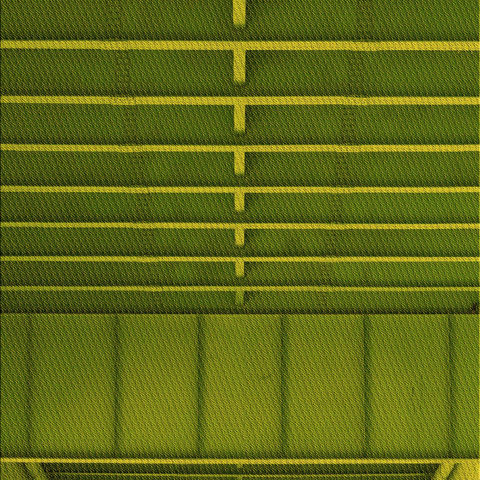 Patterned Dark Yellow Green Rug, pat3633yw