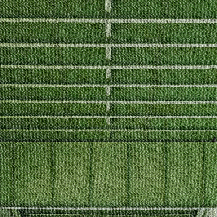 Patterned Dark Forest Green Novelty Rug, pat3633