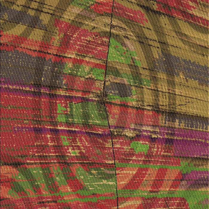 Machine Washable Transitional Tomato Red Rug, wshpat3634brn