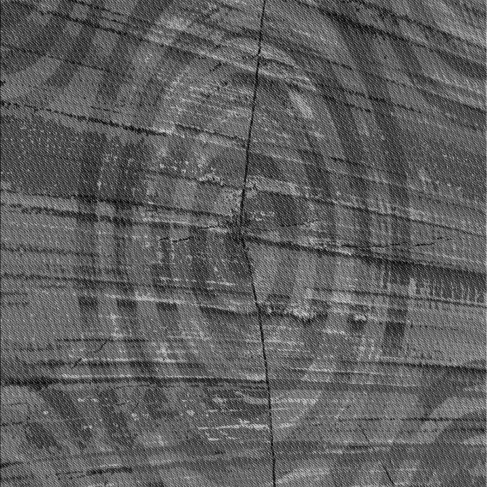 Machine Washable Transitional Platinum Gray Rug, wshpat3634gry