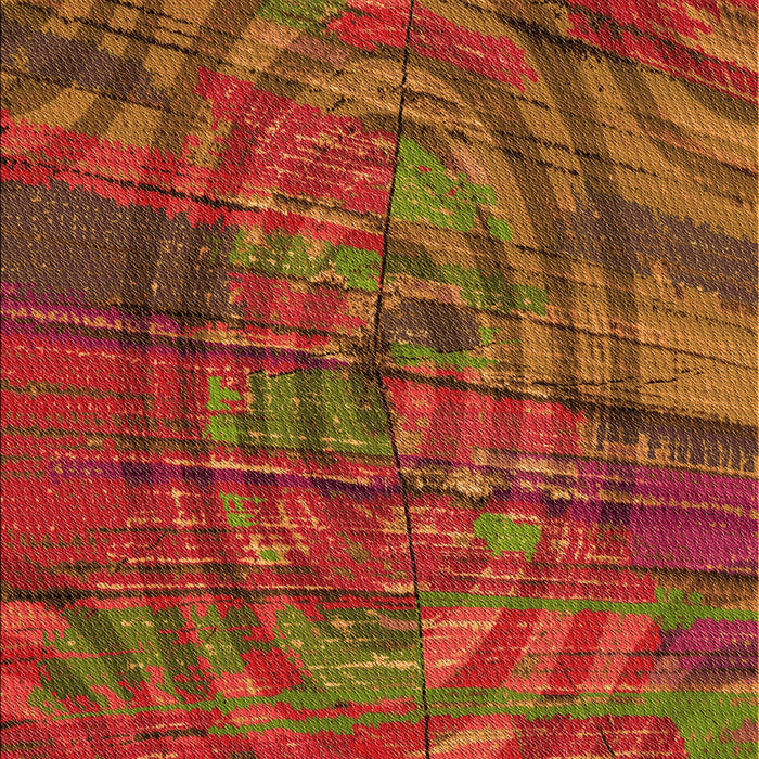 Machine Washable Transitional Red Rug, wshpat3634org