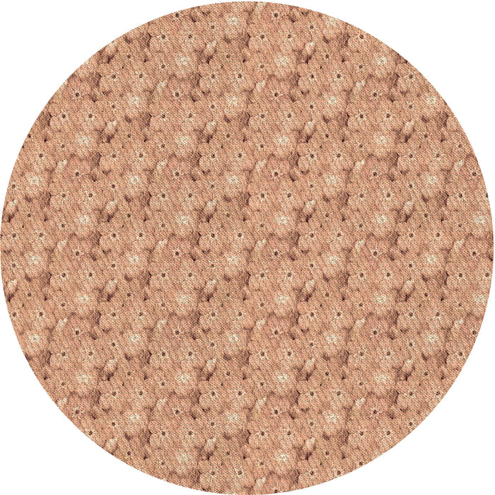 Square Machine Washable Transitional Orange Rug in a Living Room, wshpat3635brn