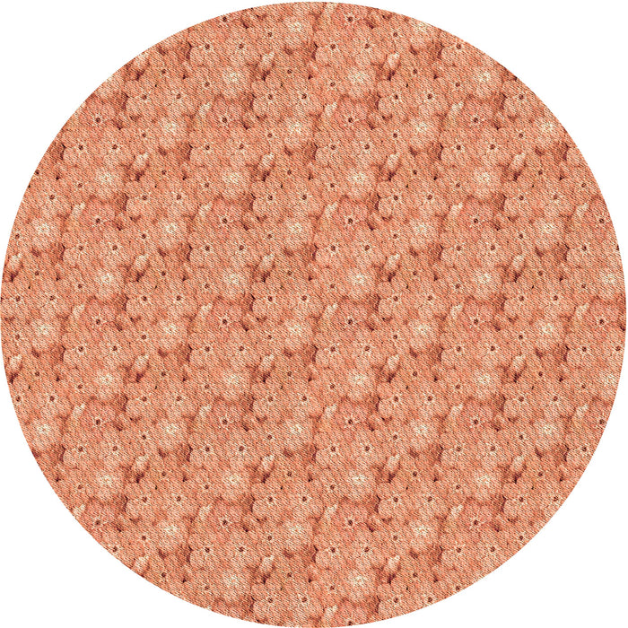 Square Machine Washable Transitional Brown Sand Brown Rug in a Living Room, wshpat3635org