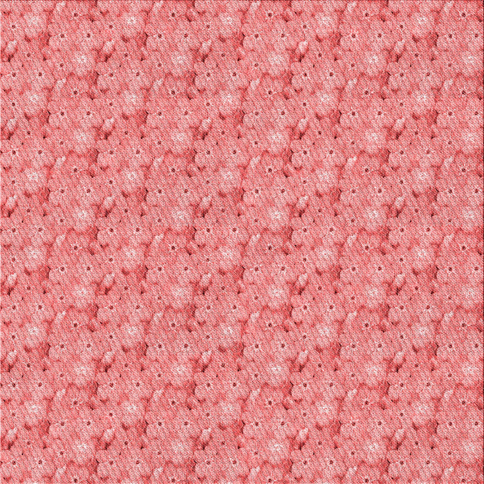 Round Machine Washable Transitional Light Coral Pink Rug, wshpat3635rd