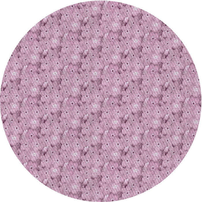 Sideview of Patterned Pink Novelty Rug, pat3635