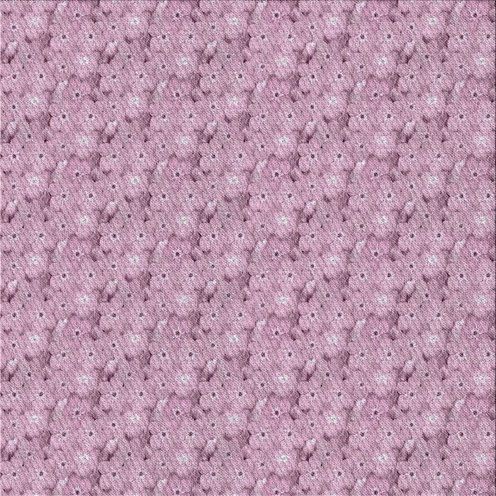 Sideview of Machine Washable Transitional Pink Rug, wshpat3635