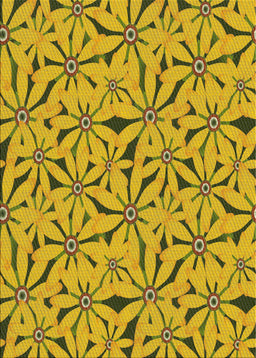 Machine Washable Transitional Oak Brown Rug, wshpat3636