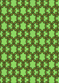 Machine Washable Transitional Bright Green Rug, wshpat3639grn