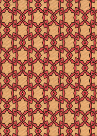 Machine Washable Transitional Orange Rug, wshpat3639org