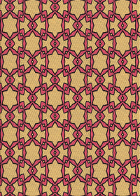 Machine Washable Transitional Saffron Red Rug, wshpat3639