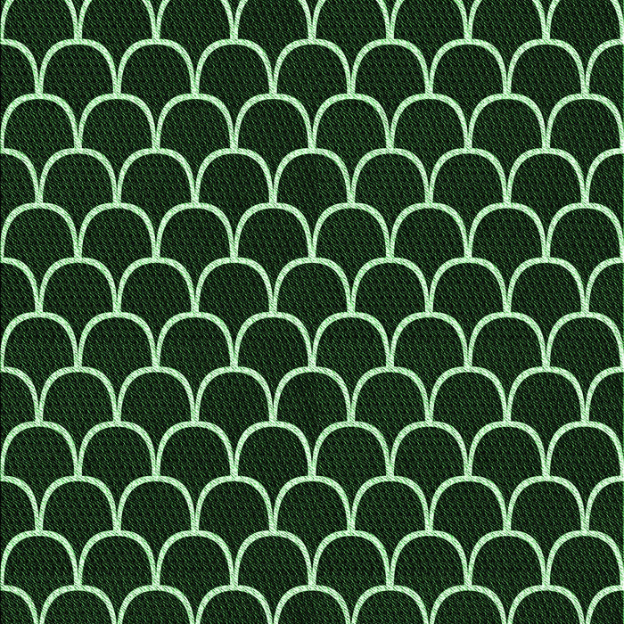 Machine Washable Transitional Green Rug, wshpat3644grn