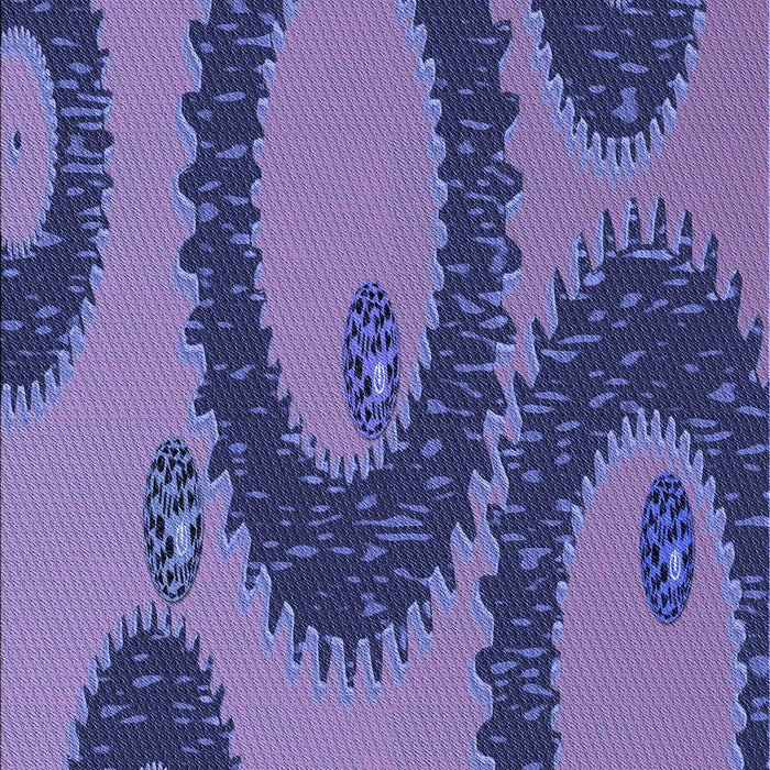 Machine Washable Transitional Purple Mimosa Purple Rug, wshpat3646blu