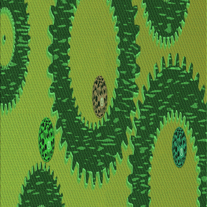 Machine Washable Transitional Green Rug, wshpat3646grn