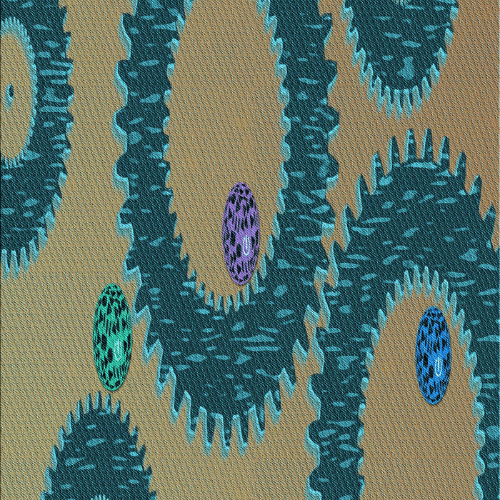 Machine Washable Transitional Green Rug, wshpat3646lblu