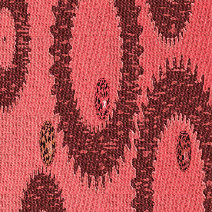 Machine Washable Transitional Red Rug, wshpat3646rd