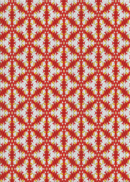 Machine Washable Transitional Red Rug, wshpat364