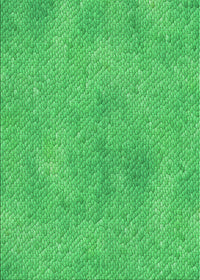 Machine Washable Transitional Neon Green Rug, wshpat3650grn