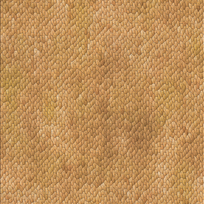 Machine Washable Transitional Orange Rug, wshpat3650org