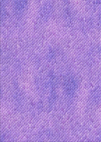 Machine Washable Transitional Bright Lilac Purple Rug, wshpat3650pur