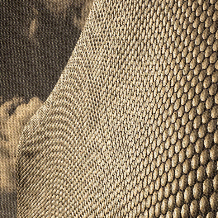 Machine Washable Transitional Dark Brown Rug, wshpat3651brn