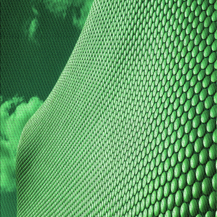 Machine Washable Transitional Green Rug, wshpat3651grn