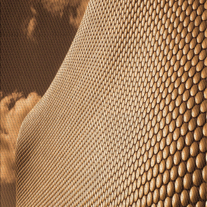 Patterned Red Brown Rug, pat3651org