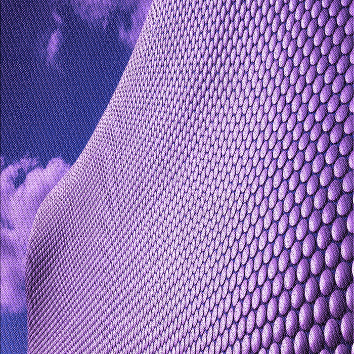 Machine Washable Transitional Amethyst Purple Rug, wshpat3651pur