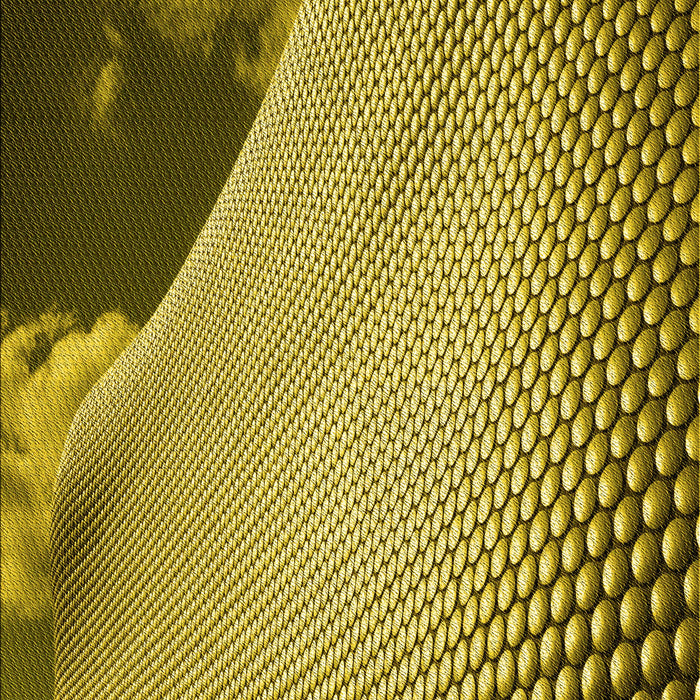 Machine Washable Transitional Dark Bronze Brown Rug, wshpat3651yw